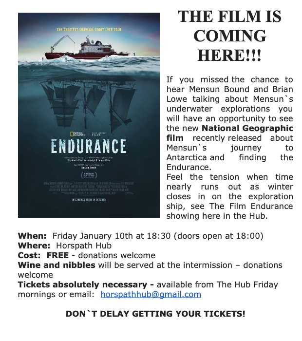 Endurance Poster