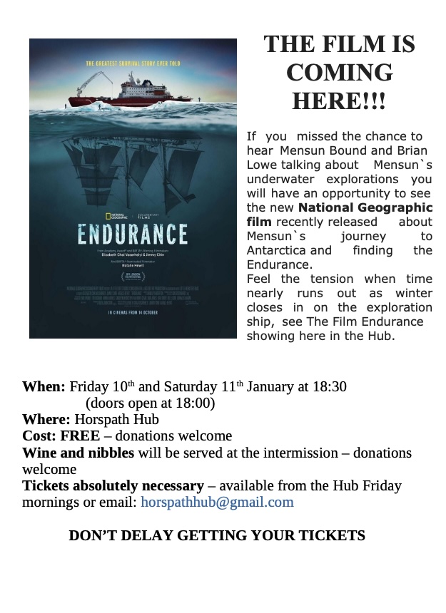 Endurance Poster 1