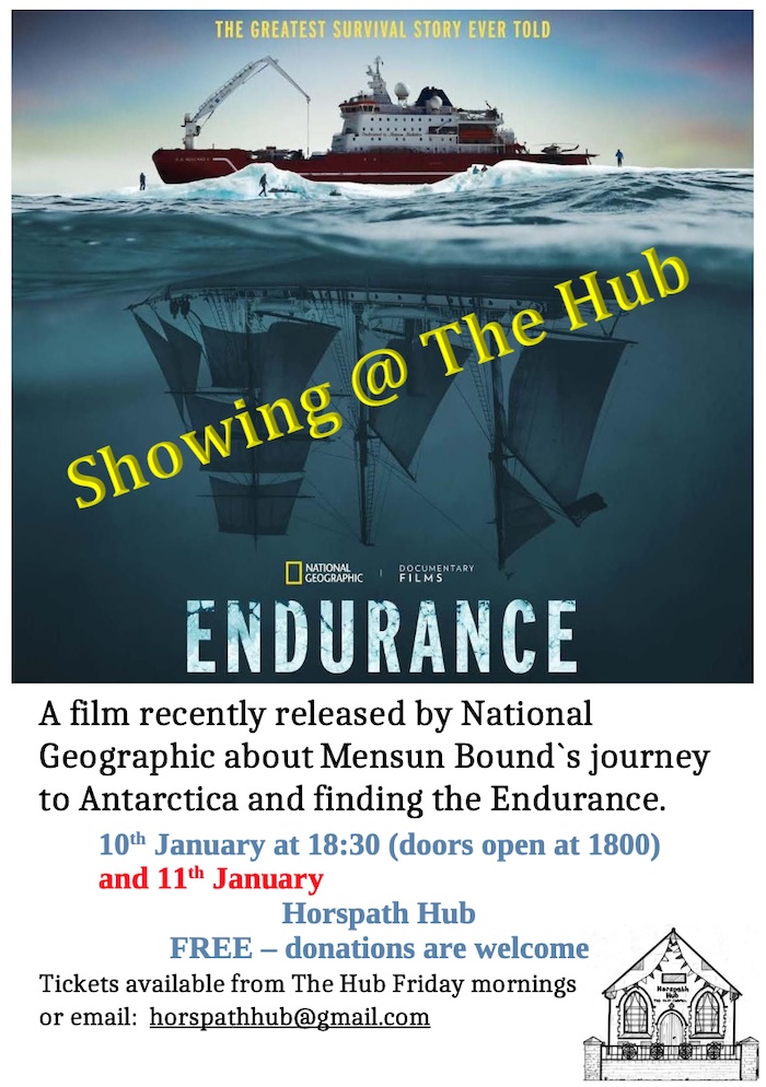 Endurance Poster 2